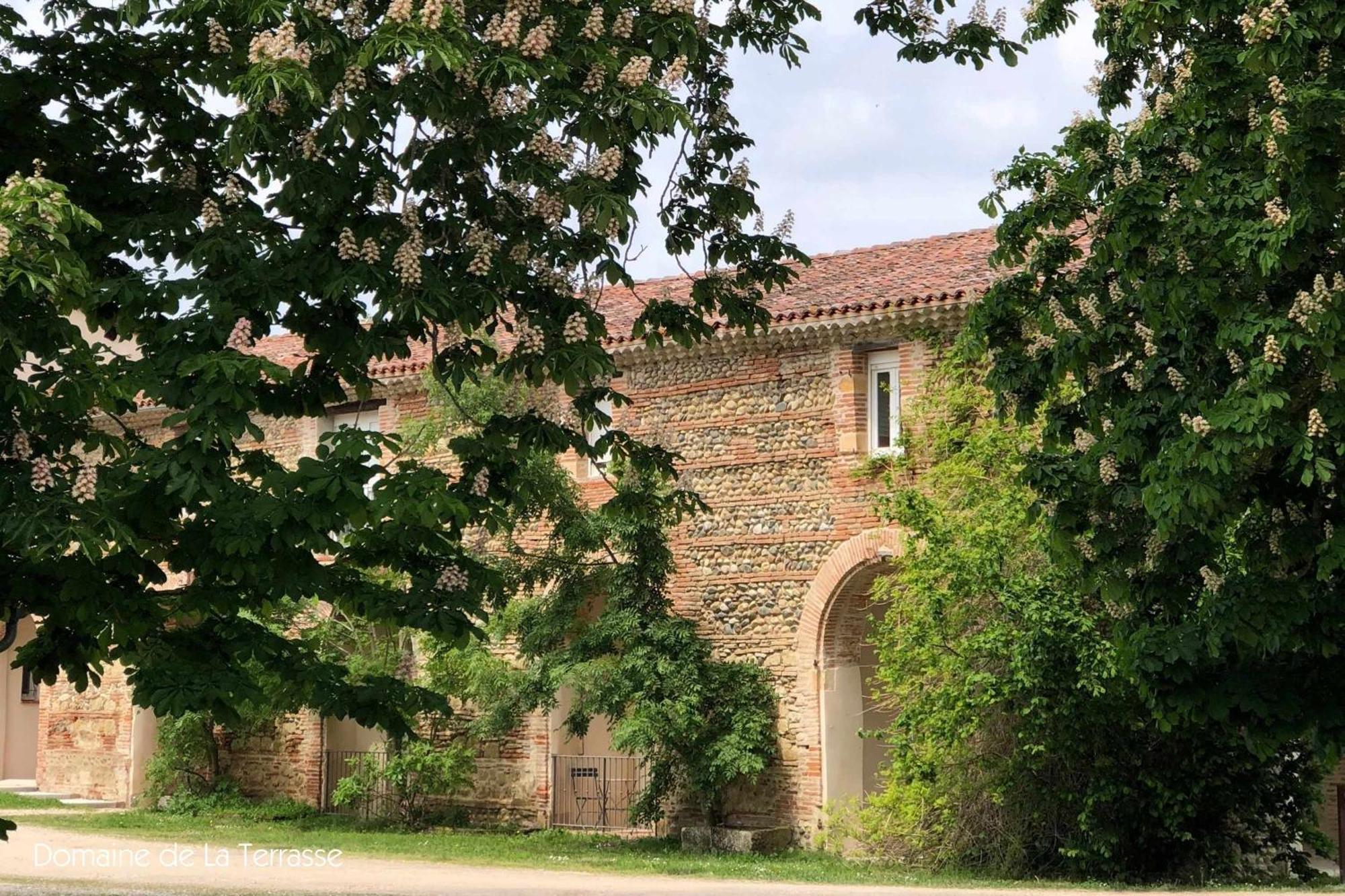 Domaine de la Terrasse Carbonne Exterior foto