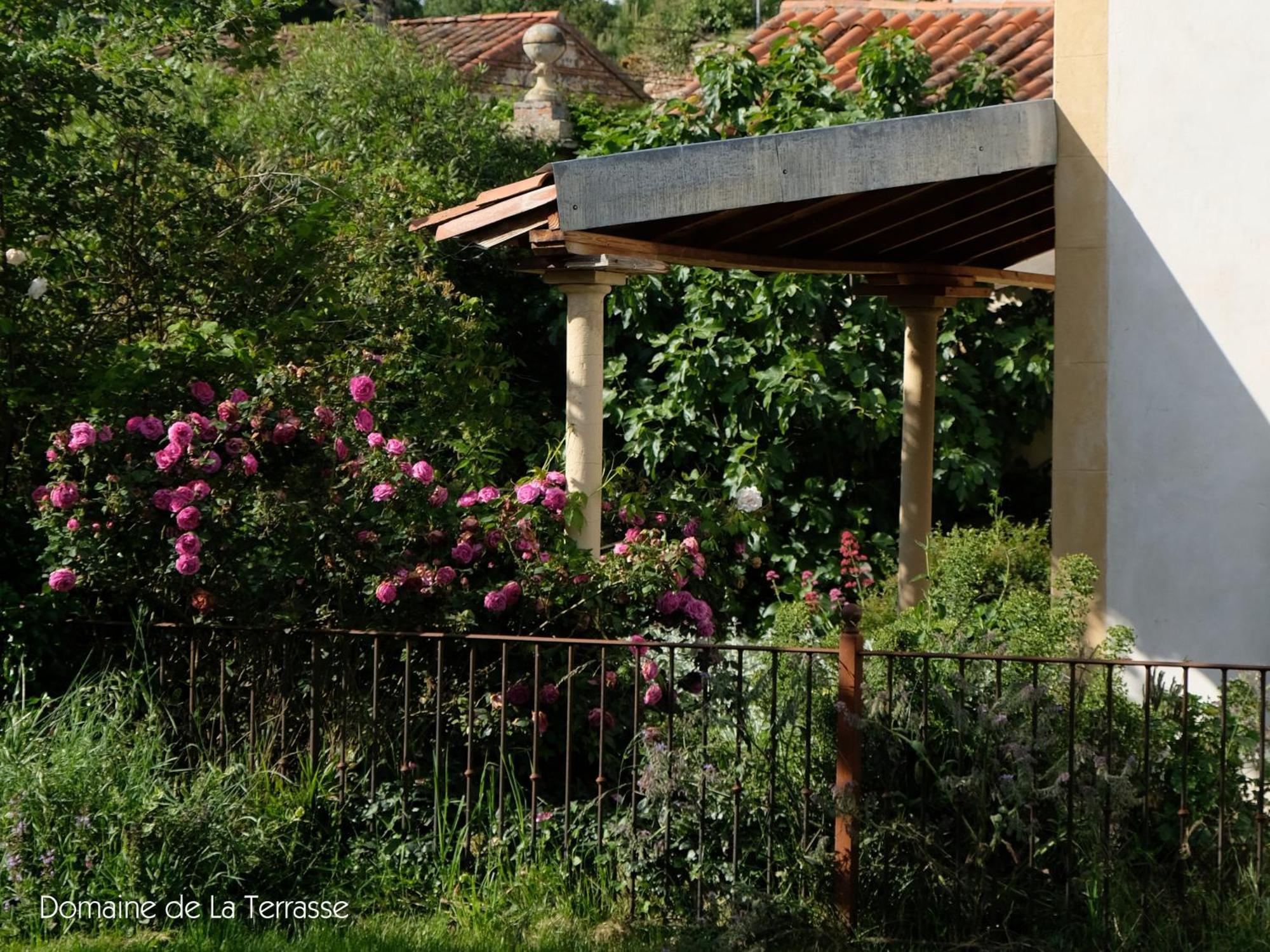 Domaine de la Terrasse Carbonne Exterior foto